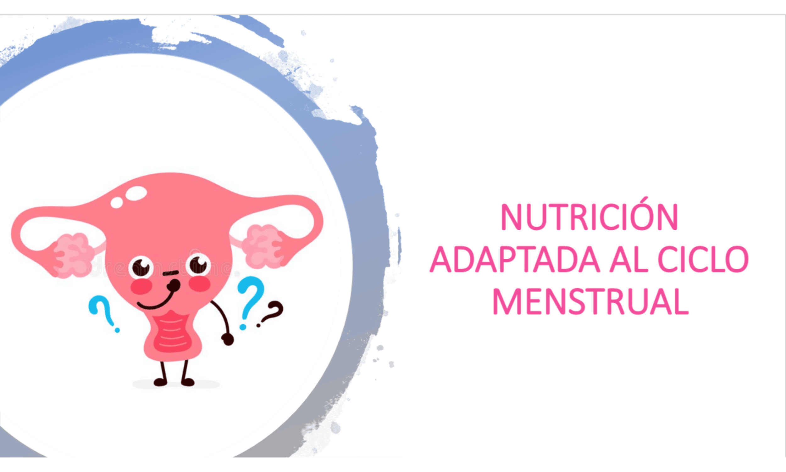 ciclo menstrual joaquín puerma