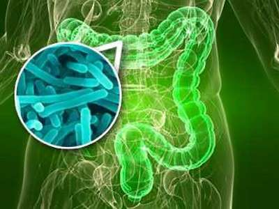 disbiosis intestinal ejemplos