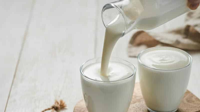 probioticos naturales